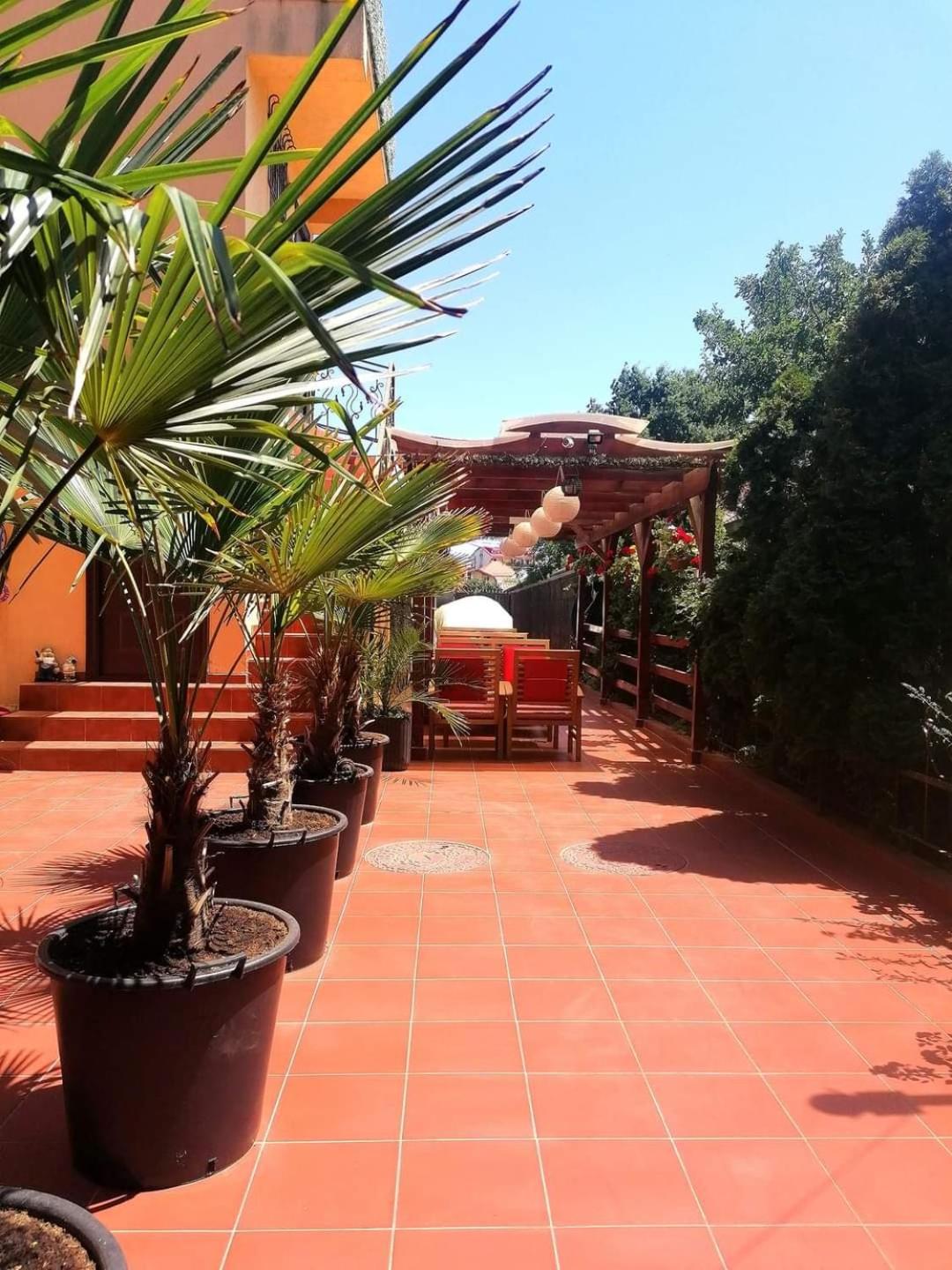 Vila Floarea Etiquette Costinesti Exterior foto
